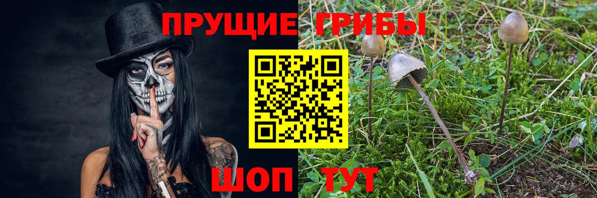 Галлюциногенные грибы ЛСД Жуковский